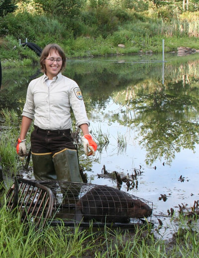 Trapper beaver by water with USFWS representative in uniform